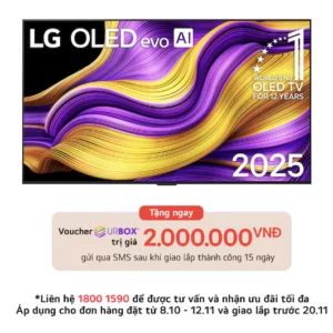 Smart TV LG 55 Inch OLED